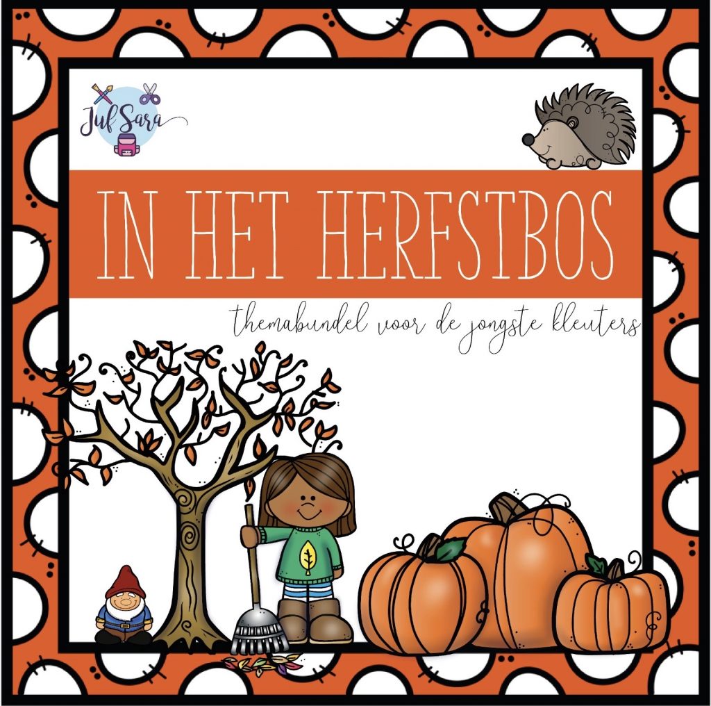 In het herfstbos